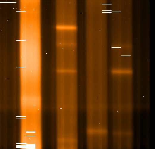 [visir_std_echraw.png 11K]