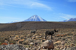 Licancabur
