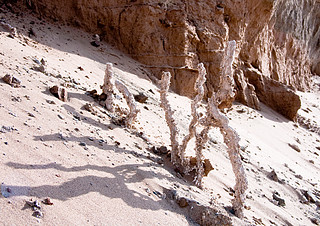 ALMA site