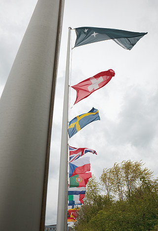 ESO Flags