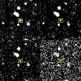Brightness Decline of Nova in NGC 1316
