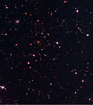 Galaxy Cluster in the Capodimonte Deep Field