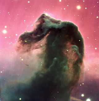 O * Nebulosa Cabeça de Cavalo