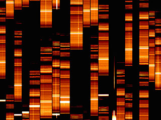 First VIMOS Spectra (In Detail)