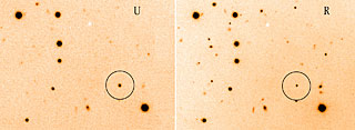 RX J0806.3+1527 Stellar Binary System