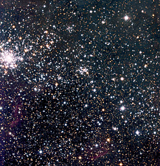 In Tarantula Territory (d)