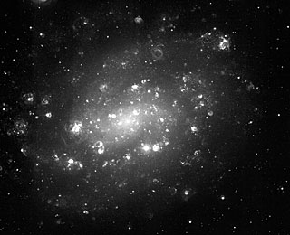 Spirální galaxie NGC 300