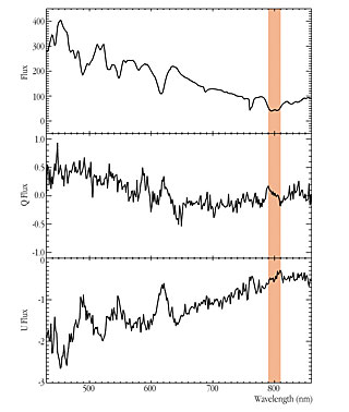 Optical spectrum of SN 2001el  and fractional polarisation