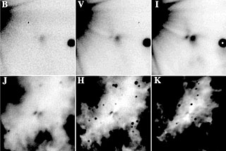 Images of the Silhouette Disc and the Bipolar Reflection Nebula