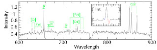 Optical Spectrum of the Bipolar Nebula