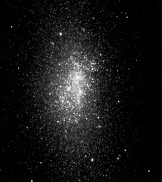 Velká hvězdokupa v trpasličí galaxii NGC 5253