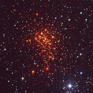 The Super Star Cluster Westerlund 1