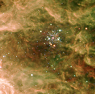 The Stellar Cluster Hodge 301