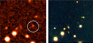 The Field around SN2006aj