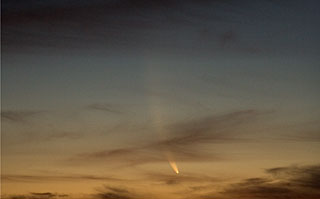 Comet McNaught