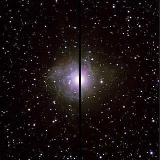 La estrella Cefeida RS Pup