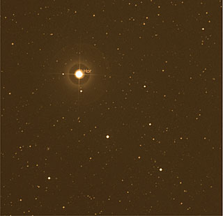 The Planet-host Star Iota Horologii