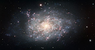 Spiral Galaxy NGC 7793