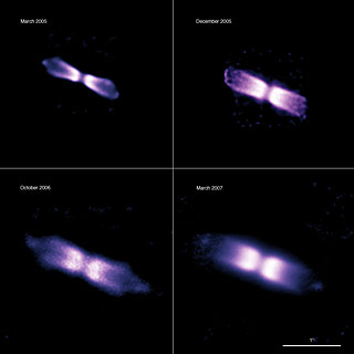 The expanding shell around V445 Puppis