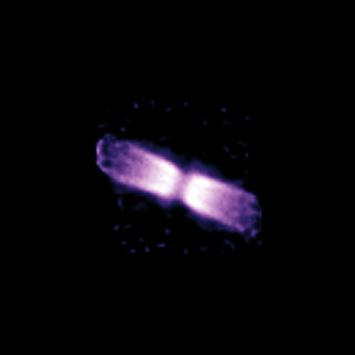 Capa alrededor de V445 Puppis (Diciembre de 2005)