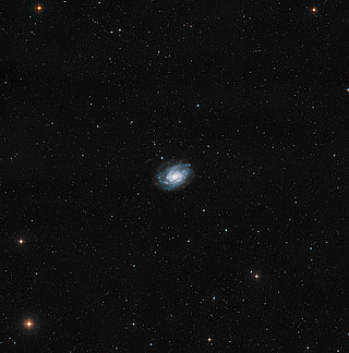 The surroundings of NGC 300
