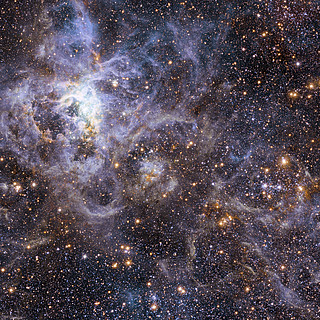 Visión de campo amplio del cielo alrededor de VFTS 102: la estrella que rota con más velocidad