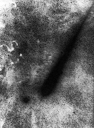 An unusual view of Comet Austin