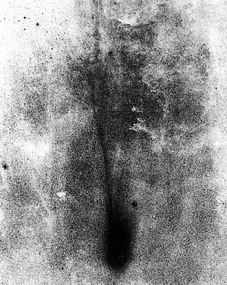 Comet Levy on 12 September 1990