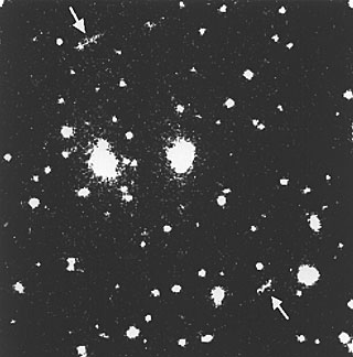 Bright X-Ray Cluster Acts As Strong Gravitational Lens