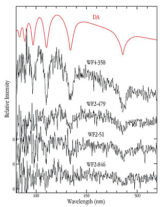 Spectrum of White Dwarf Stars in NGC 6397