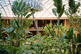 Tropical garden, residencia, Paranal