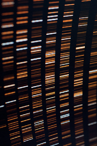 CCD calibrations