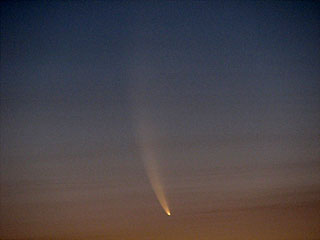 Comet McNaught