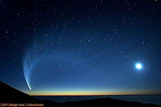 Comet McNaught