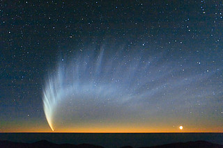Comet McNaught