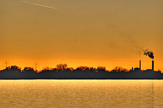 Comet McNaught