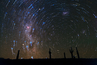 Un rastro de estrellas sobre los cactus del Desierto de Atacama
