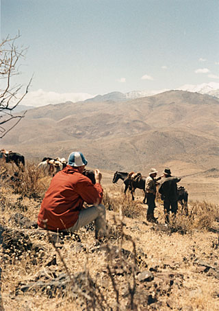 La Silla Site Search 