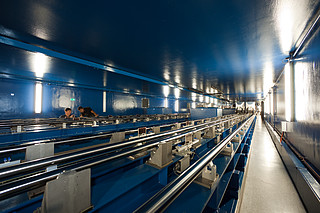 Looking Down the VLTI Tunnel