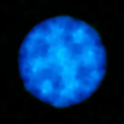 ALMA-Bild von Uranus bei kurzen Wellenlängen