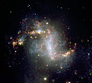 The topsy-turvy galaxy NGC 1313*