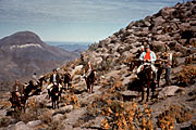Giugno 1963 - incontro sulla vetta del Monte Morado