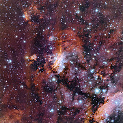 Primer plano de la Nebulosa del Camarón