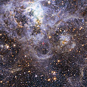 VFTS 352:s position i stora magellanska molnet