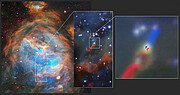 Skive og jet i det unge stjernesystem HH 1177, set med MUSE og ALMA