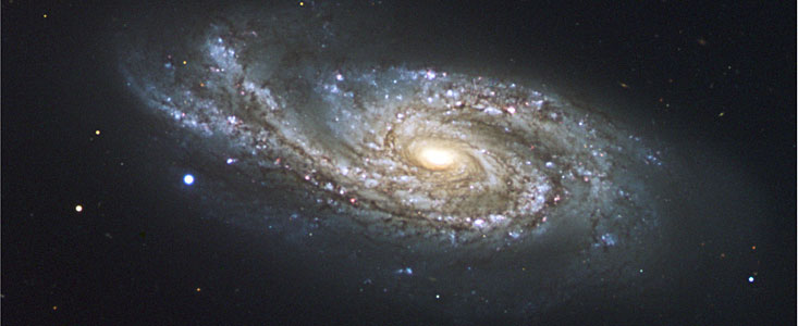 The starburst galaxy NGC 908
