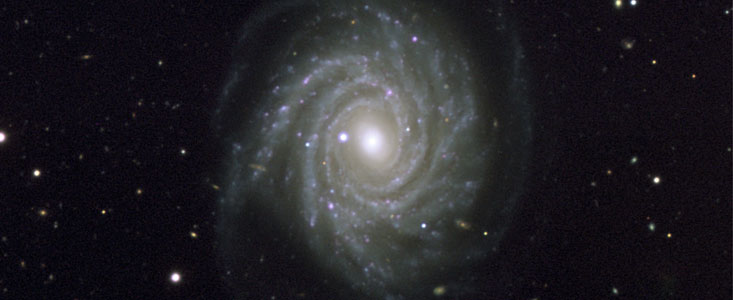 VLT image of supernova in beautiful spiral galaxy NGC 1288