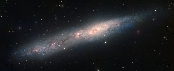 Irregular galaxy NGC 55