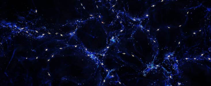 Fordelingen af Quasarer og deres orientering i rummet