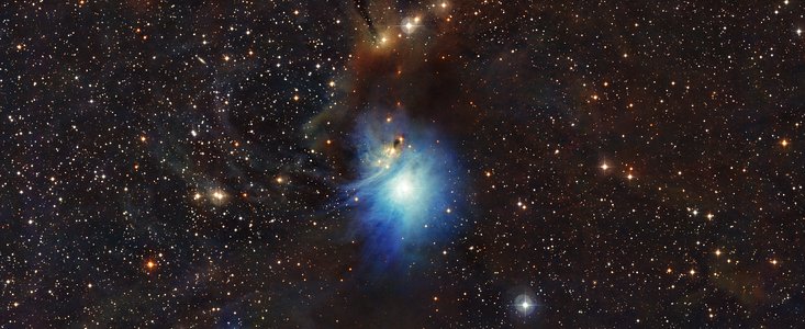 De jeunes étoiles illuminent la nébuleuse par réflexion IC 2631